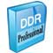 DDR Professional