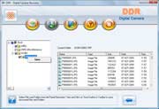 De digitale Software Screenshot van de Terugwinning van de Gegevens van de Camera