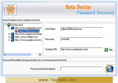 De Software Screenshot van de Terugwinning van het Wachtwoord van de Ontdekkingsreiziger van Internet