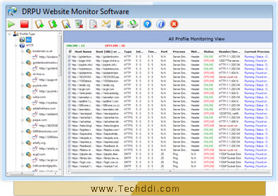 Het Hulpmiddel Screenshot van de Controle van de website