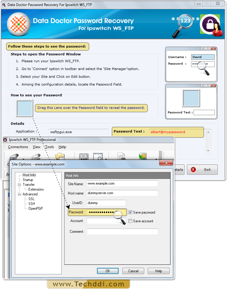 Recovery of password using Password Recovery For Ipswitch WS_FTP Password Recovery Software For Ipswitch WS_FTP