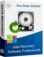 Windows Data Recovery - Professional